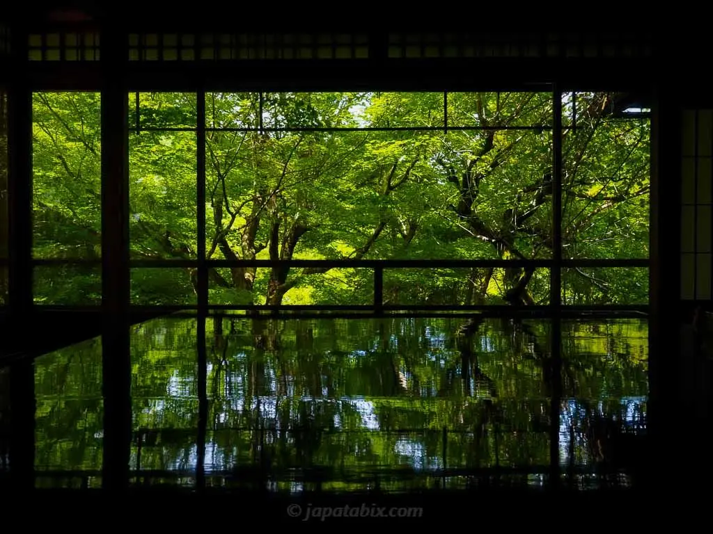 Biophilic Design 親生物設計：讓自然走進空間的全方位指南